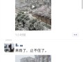 暴雪藍色預警！河南多地迎來3月桃花雪：朋友圈雪景刷屏