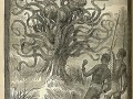 非洲部落活人獻祭的食人樹：真的存在嗎？
