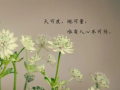 一句話讓別人關注你抖音
