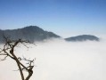 小伙因社恐常年鉆深山，發(fā)現(xiàn)8個新物種 以自己的名字命名4種