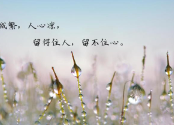一句話讓別人關注你抖音 抖音 第2張 一句話讓別人關注你抖音 抖音 第2張