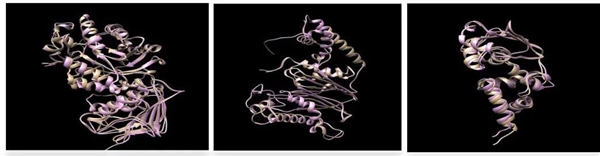 華為昇騰AI還能預防豬生病?讓動物疫苗研發費降低100倍 華為 AI 疫苗 第2張 華為昇騰AI還能預防豬生病?讓動物疫苗研發費降低100倍 華為 AI 疫苗 第2張