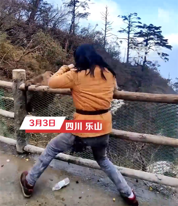 一男子和峨眉山猴子練搏擊互毆 當事人回應:條件反射、請勿模仿 峨眉山 搏擊 第2張 一男子和峨眉山猴子練搏擊互毆 當事人回應:條件反射、請勿模仿 峨眉山 搏擊 第2張