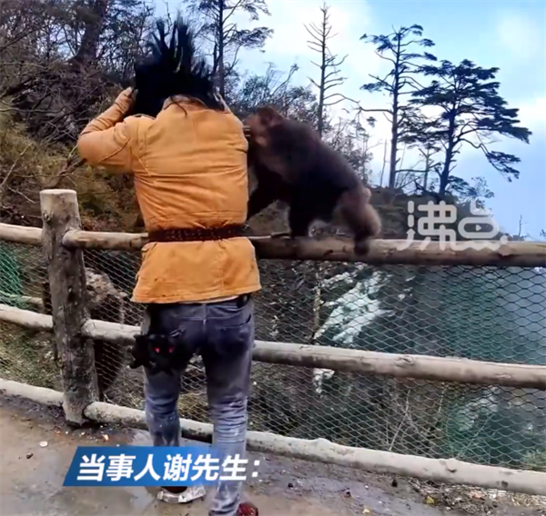 一男子和峨眉山猴子練搏擊互毆 當事人回應:條件反射、請勿模仿 峨眉山 搏擊 第3張 一男子和峨眉山猴子練搏擊互毆 當事人回應:條件反射、請勿模仿 峨眉山 搏擊 第3張