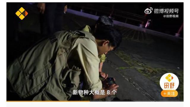 小伙因社恐常年鉆深山,發現8個新物種 以自己的名字命名4種 社恐 物種 第6張 小伙因社恐常年鉆深山,發現8個新物種 以自己的名字命名4種 社恐 物種 第6張