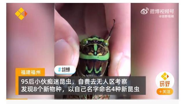 小伙因社恐常年鉆深山,發現8個新物種 以自己的名字命名4種 社恐 物種 第2張 小伙因社恐常年鉆深山,發現8個新物種 以自己的名字命名4種 社恐 物種 第2張