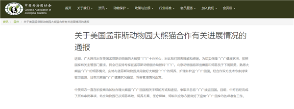 熊貓丫丫回國后將和萌蘭做鄰居!網友突擊檢查全世界大熊貓 熊貓 大熊貓 第1張 熊貓丫丫回國后將和萌蘭做鄰居!網友突擊檢查全世界大熊貓 熊貓 大熊貓 第1張