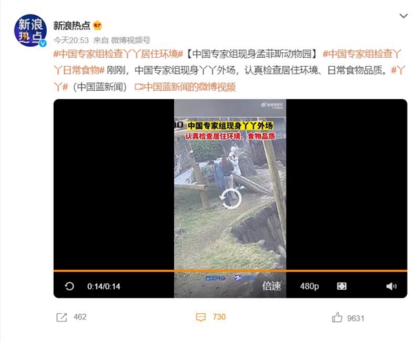 中國專家組檢查丫丫日常食物:同時檢查居住環境 專家 熊貓 第1張 中國專家組檢查丫丫日常食物:同時檢查居住環境 專家 熊貓 第1張
