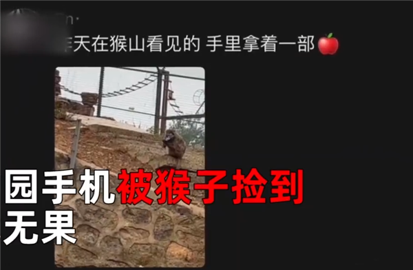 猴子撿走游客蘋果手機還接了電話 iPhone丟失這么做能看定位 猴子 游客 蘋果 手機 iPhone 第2張 猴子撿走游客蘋果手機還接了電話 iPhone丟失這么做能看定位 猴子 游客 蘋果 手機 iPhone 第2張
